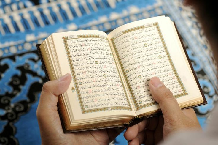 Menghafal Al-Qur'an - Qurota